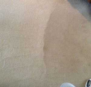 Bonita Springs Carpet Cleaning, 34134 Carpet Cleaning