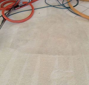 Bonita Springs Carpet Cleaning, 34134 Carpet Cleaning