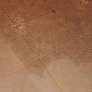 Bonita Springs Carpet Cleaning